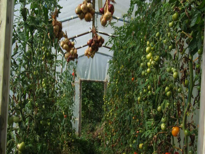 Dawn House B&B Kilmeaden 外观 照片