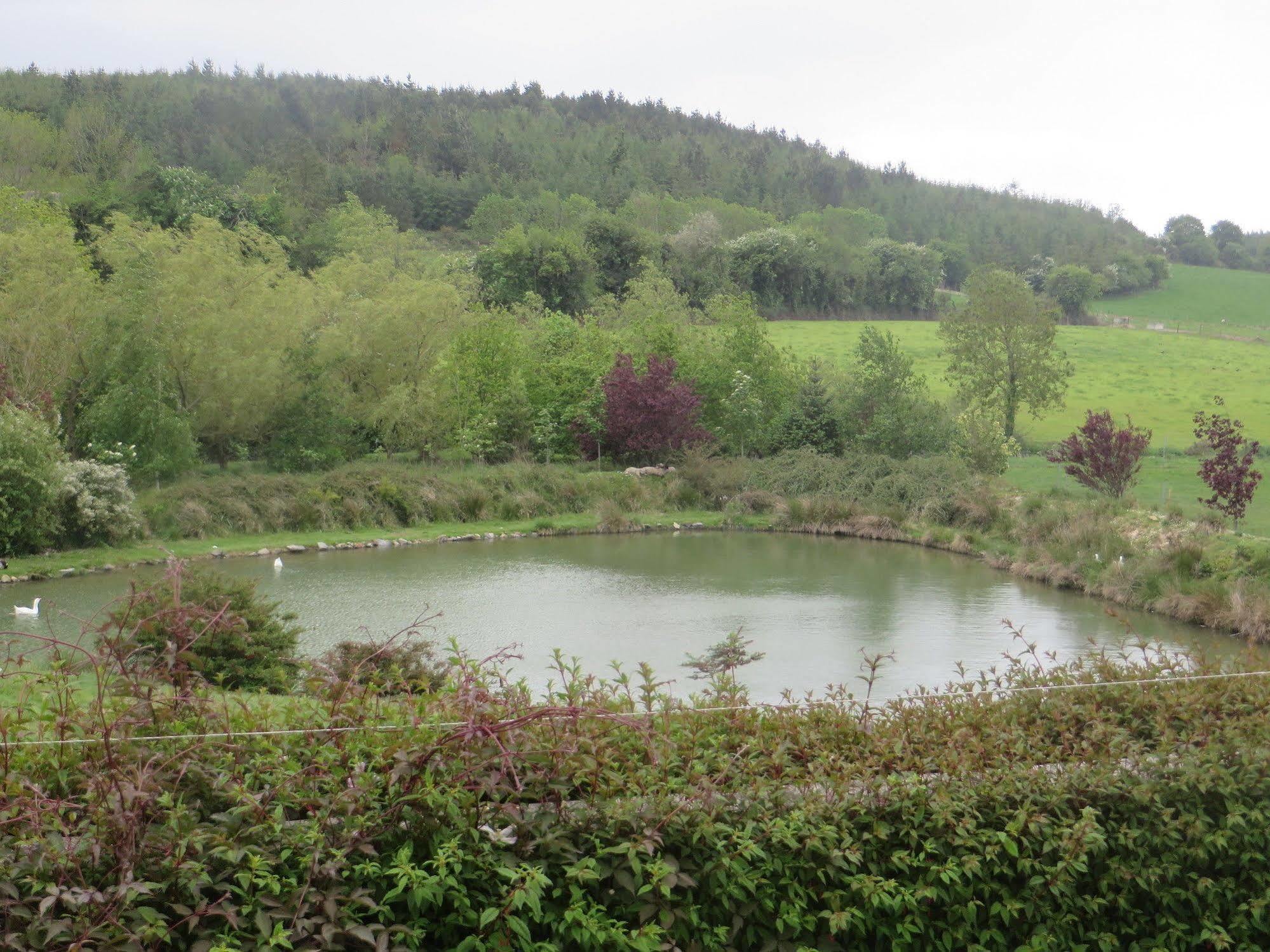 Dawn House B&B Kilmeaden 外观 照片